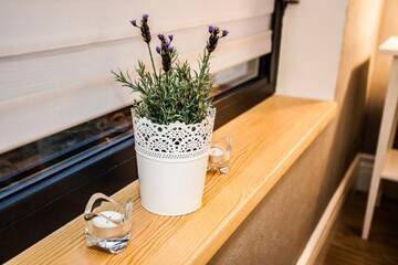Фото Апартаменты White Home Apartment г. Белосток 5